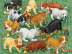 Puppy Fun - 35 Pieces