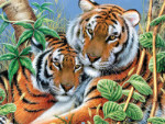 Tigers - 35 Pieces