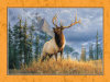The Stag - 1000 Pieces