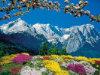 Alpine Landscape - 1500 Pieces