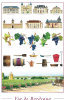 Bordeaux Wine - 1,500 Pieces