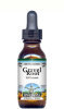 Gravel Root - Health - Gravel Root Liquid Extract / Tincture (1:5) - Mint Flavored Alcohol-Free