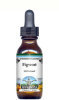 Figwort Liquid Extract / Tincture (1:5) - Strawberry Flavored Alcohol-Free
