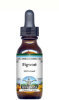 Figwort Liquid Extract / Tincture (1:5) - Vanilla Flavored Alcohol-Free