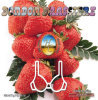 Bonbon Edible Bra - Strawberry