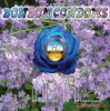 Bonbon Edible Condoms - Box of 5