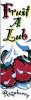 Fruit A Lub Concentrated Lubricant - Raspberry