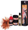 Carnal Pleasures Collection - 5 Pieces