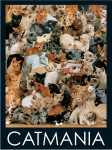 Cat Mania - 1000 Pieces