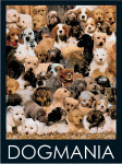 Dog Mania - 1000 Pieces