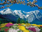 Alpine Landscape - 1500 Pieces