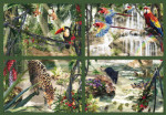 Tropical Impressions - 18,000 Pieces