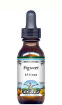 Figwort Liquid Extract / Tincture (1:5) - Mint Flavored Alcohol-Free