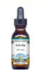 Lobelia Liquid Extract / Tincture (1:5) - Chocolate Flavored Alcohol-Free