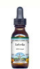 Lobelia Liquid Extract / Tincture (1:5) - Vanilla Flavored Alcohol-Free