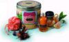 Kama Sutra Treasure Trove - Strawberries and Champagne