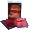 Silky Seduction Fantasy Kit