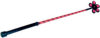 Flower Riding Crop