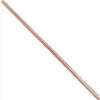 - ZooScape - Birchwood Manicure Sticks - Package of 20