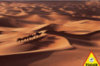 Desert - 1000 Pieces
