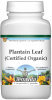 Plantain Leaf (Certified Organic) Powder