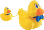 Splashing Duck