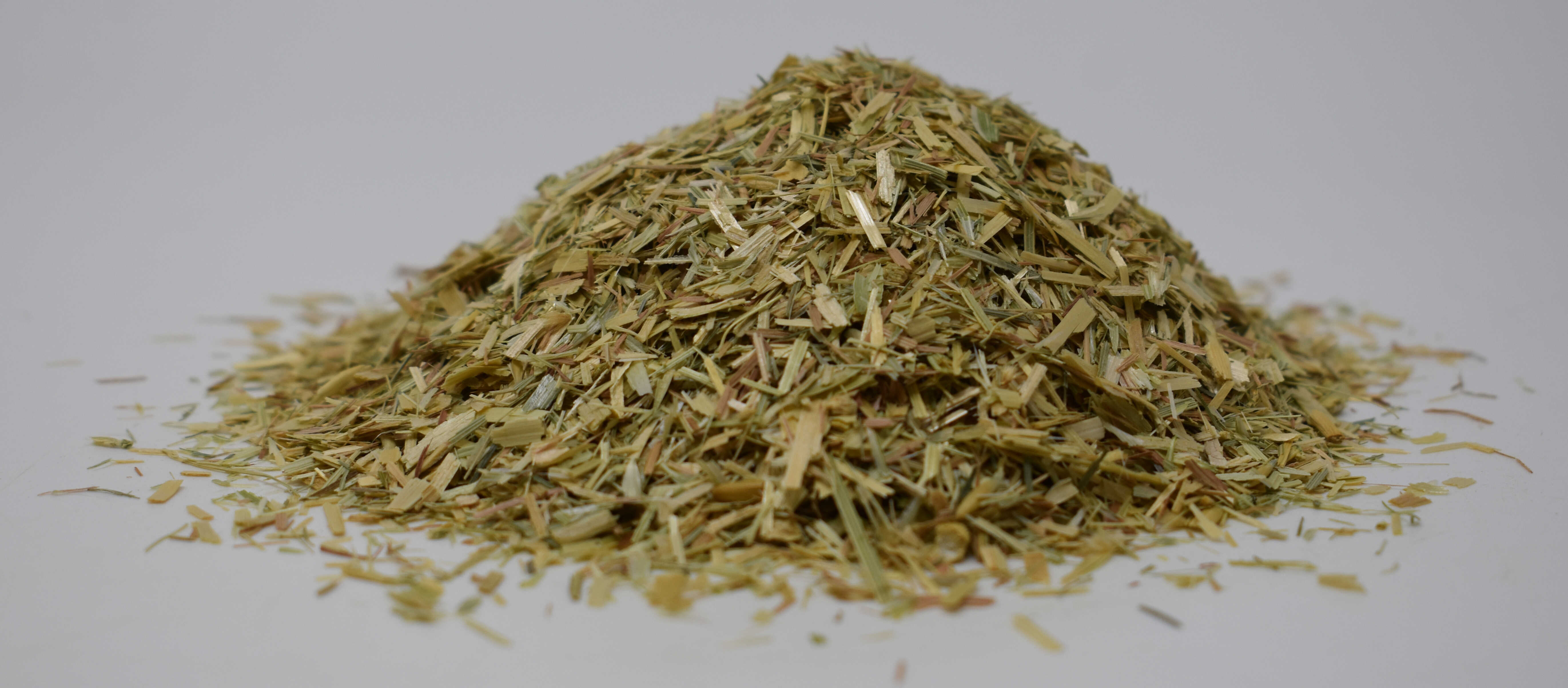 Wild Oat Straw (Avena sativa) - Side Photo