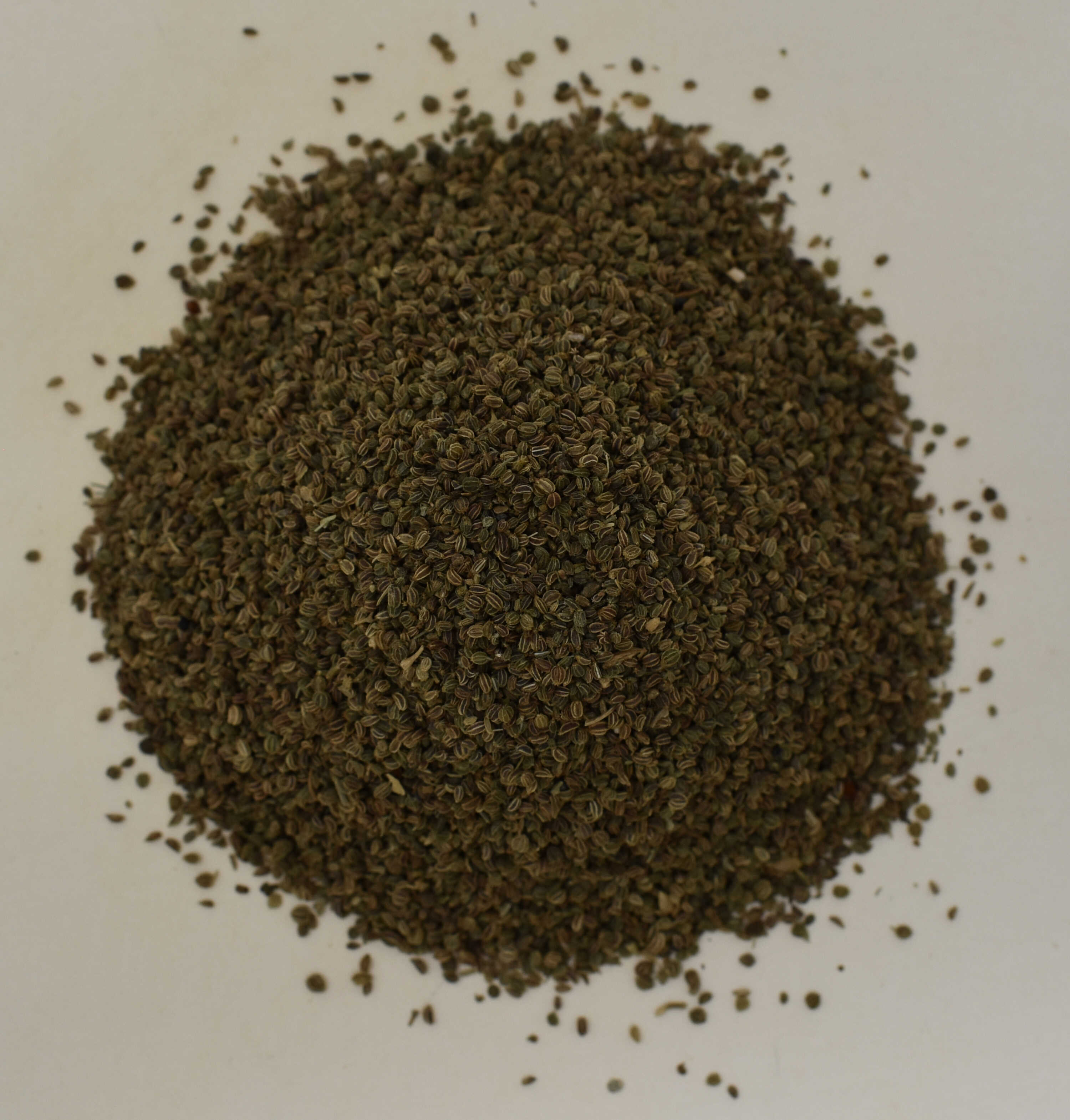 Celery Seed - Top Photo