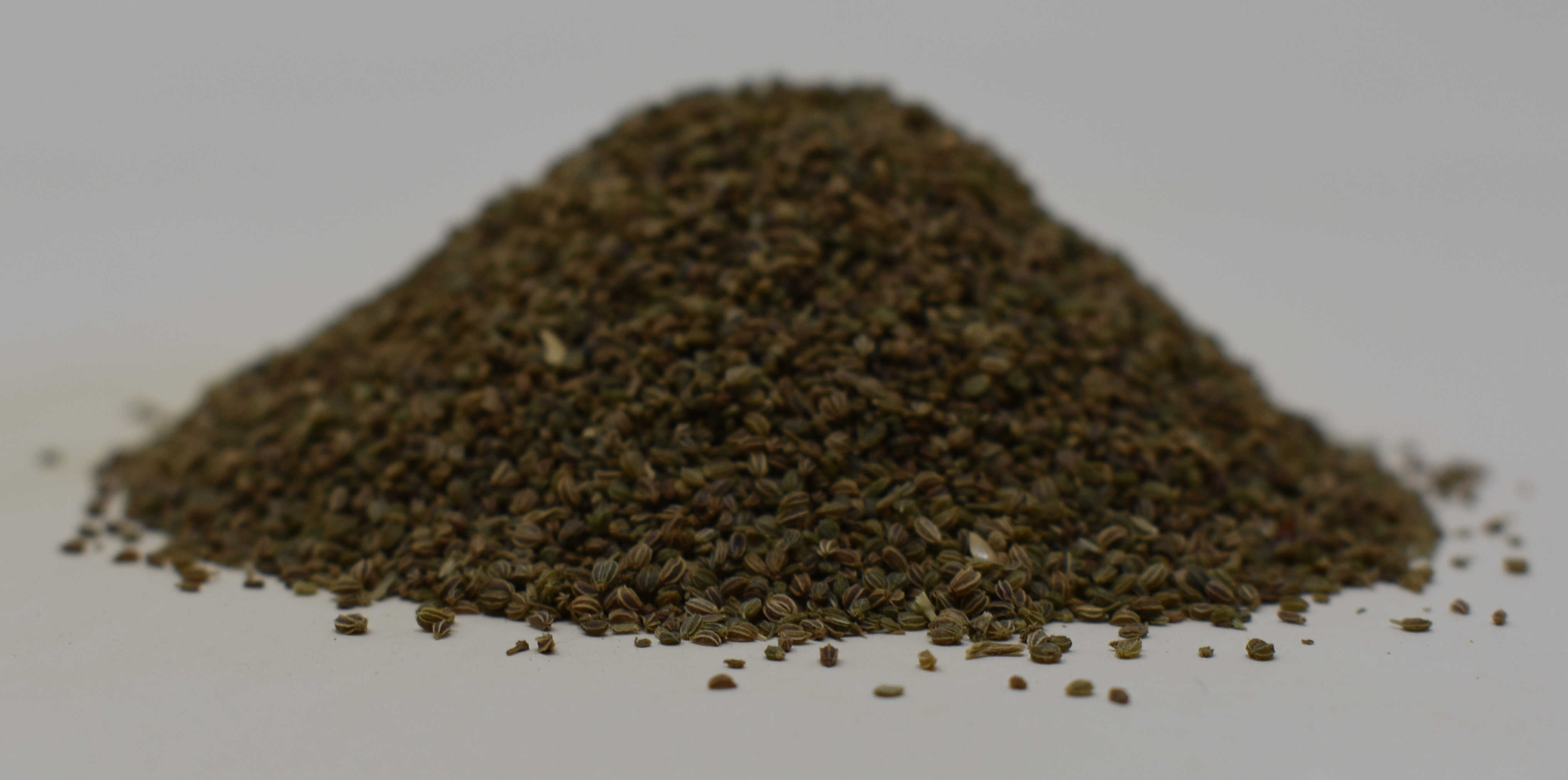 Celery Seed - Side Photo