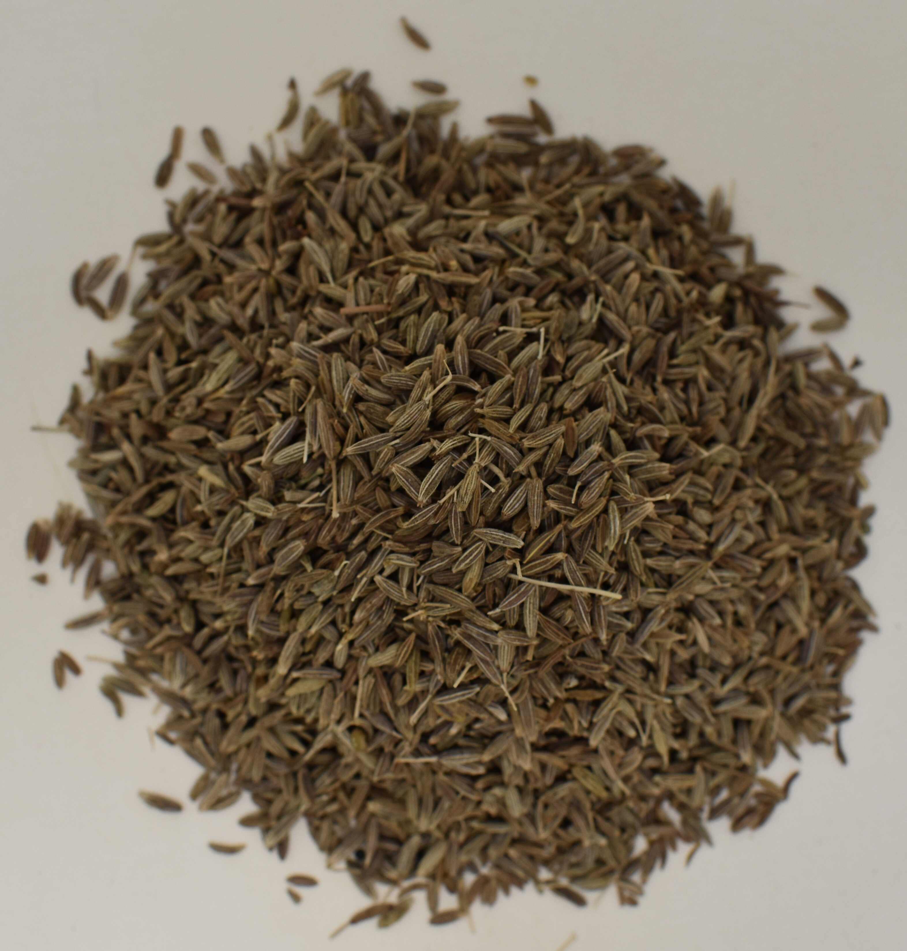 Cumin Seed - Top Photo