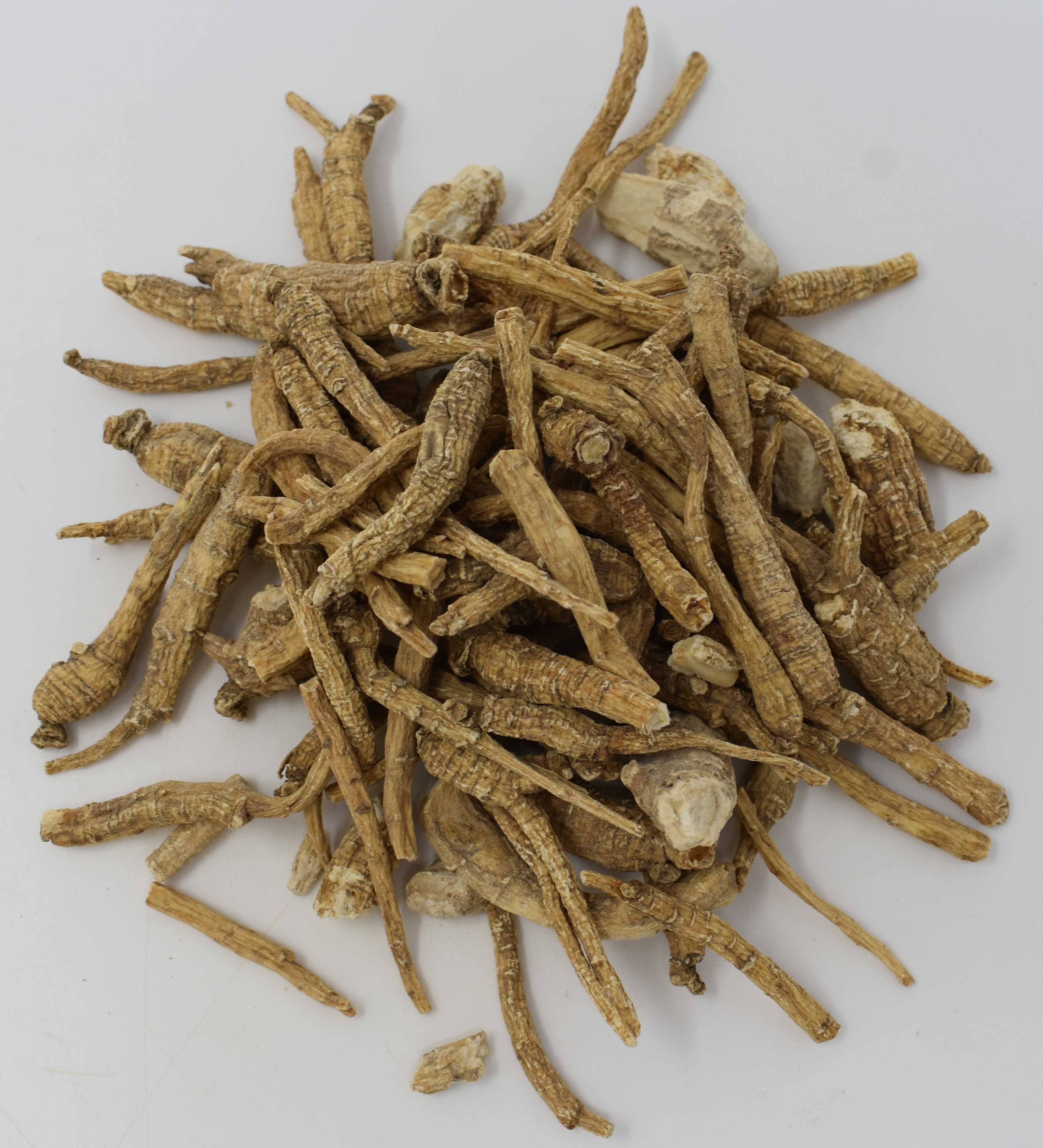 Panax Ginseng Root - Top Photo