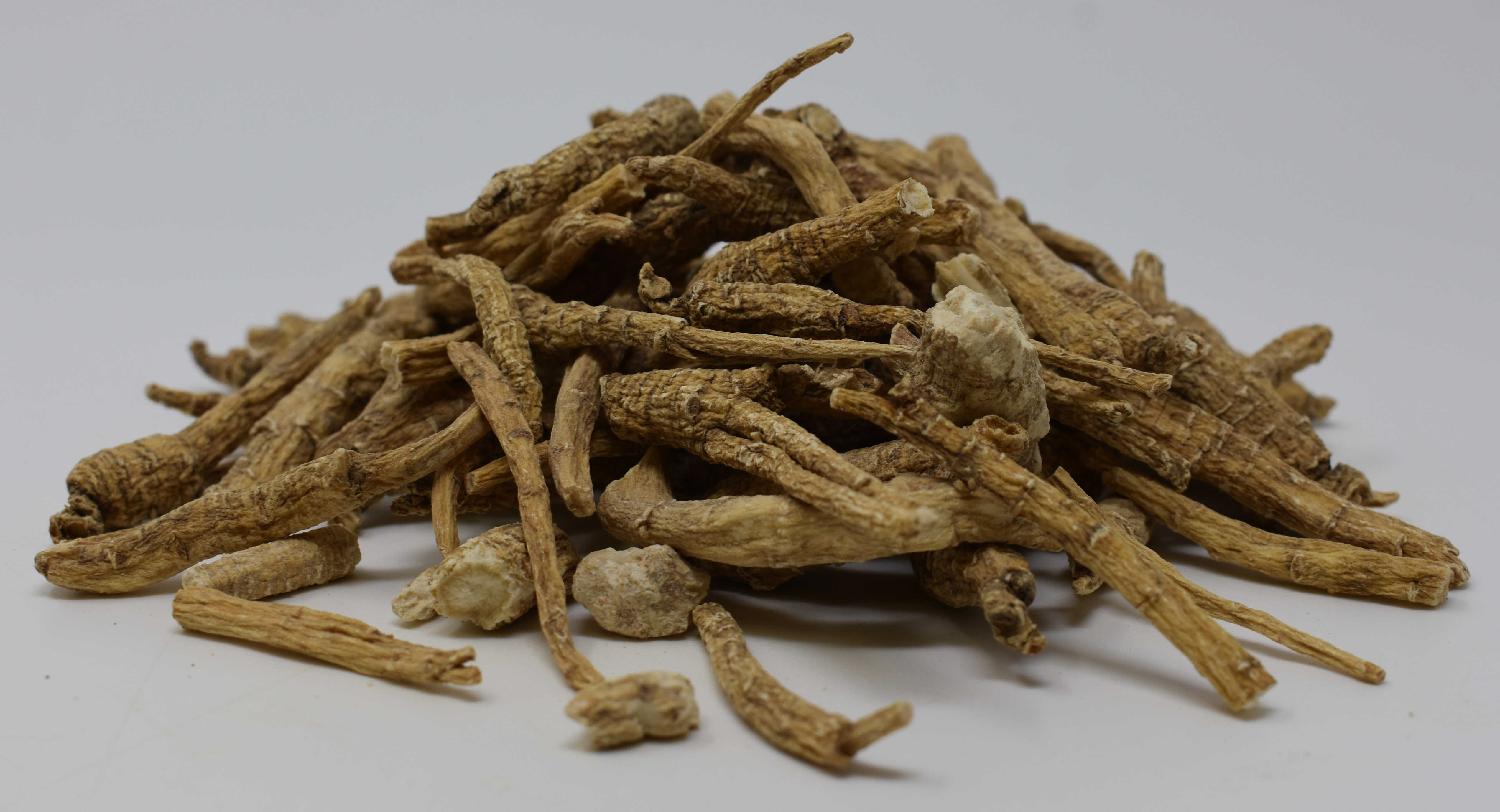 Panax Ginseng Root - Side Photo