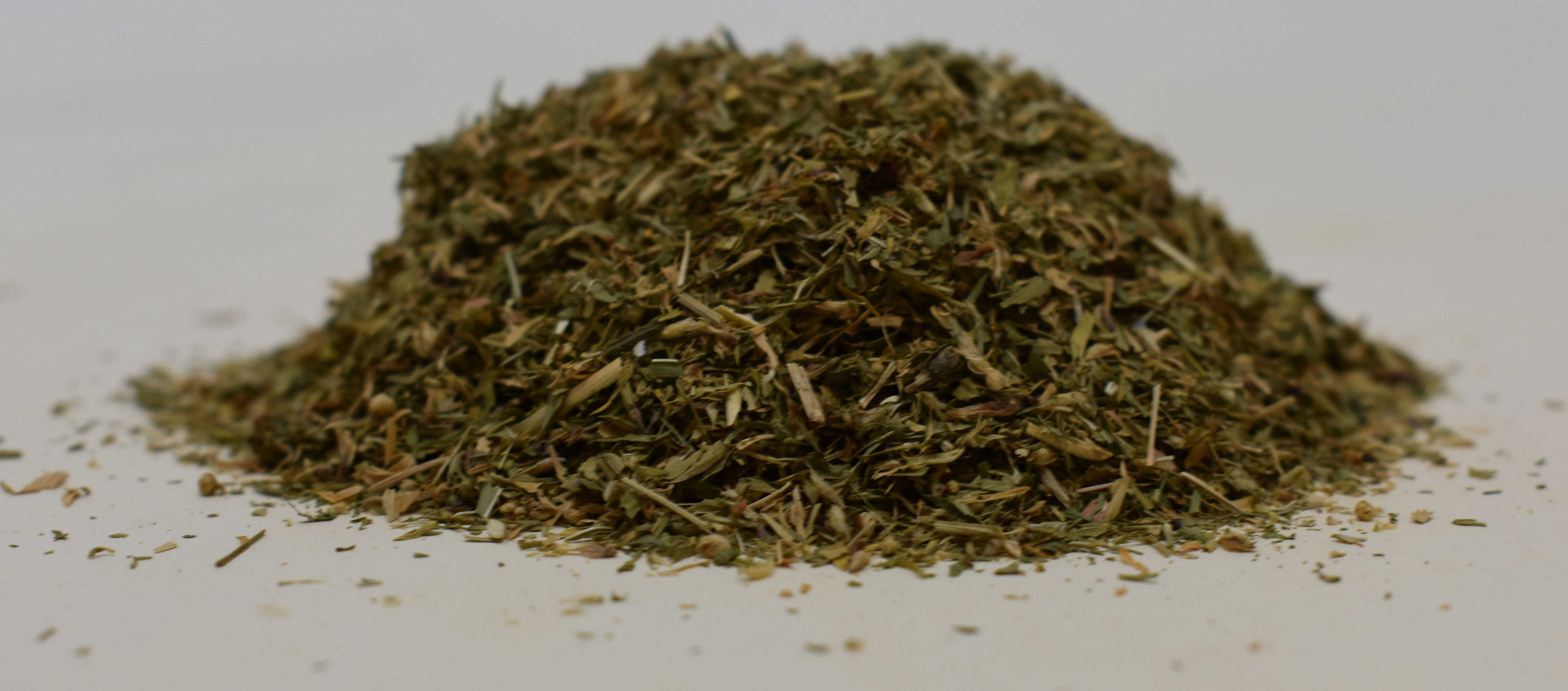 Alfalfa Herb - Side Photo