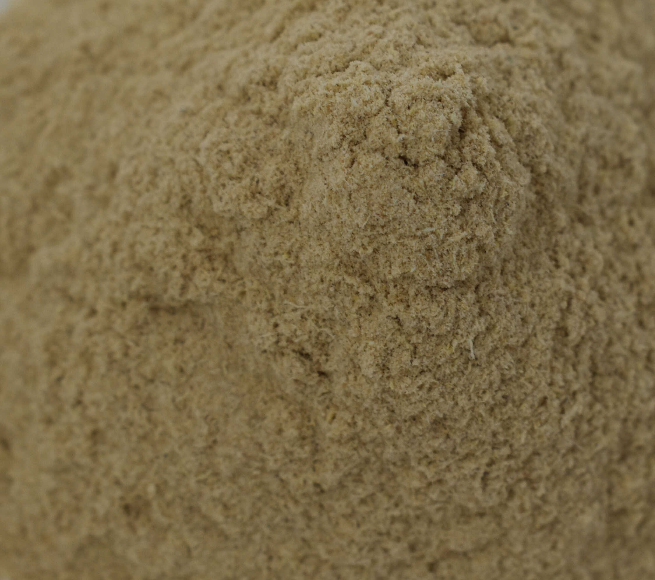 Astragalus Root - Top Close-up Photo