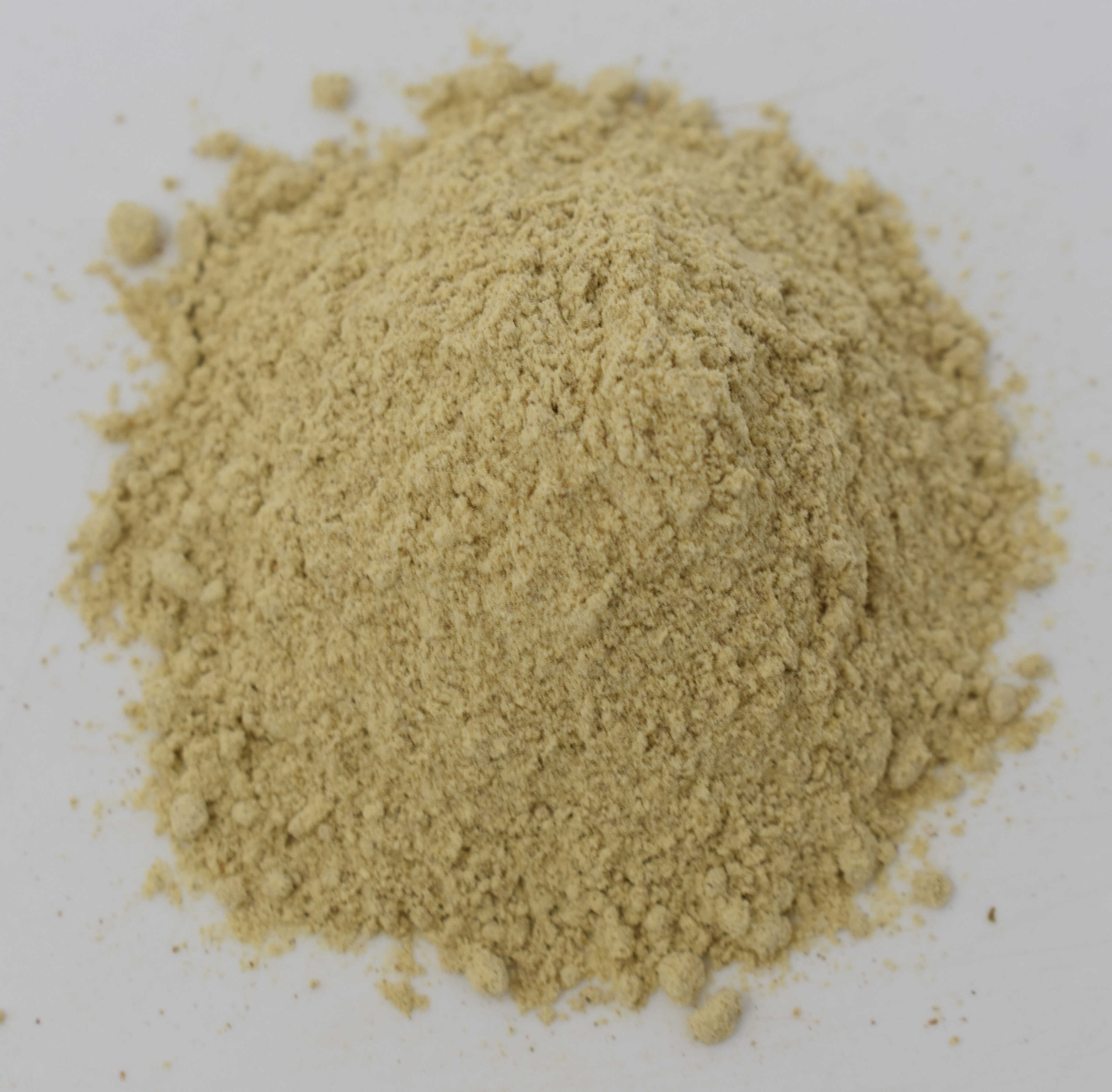 Fenugreek Seed - Top Photo