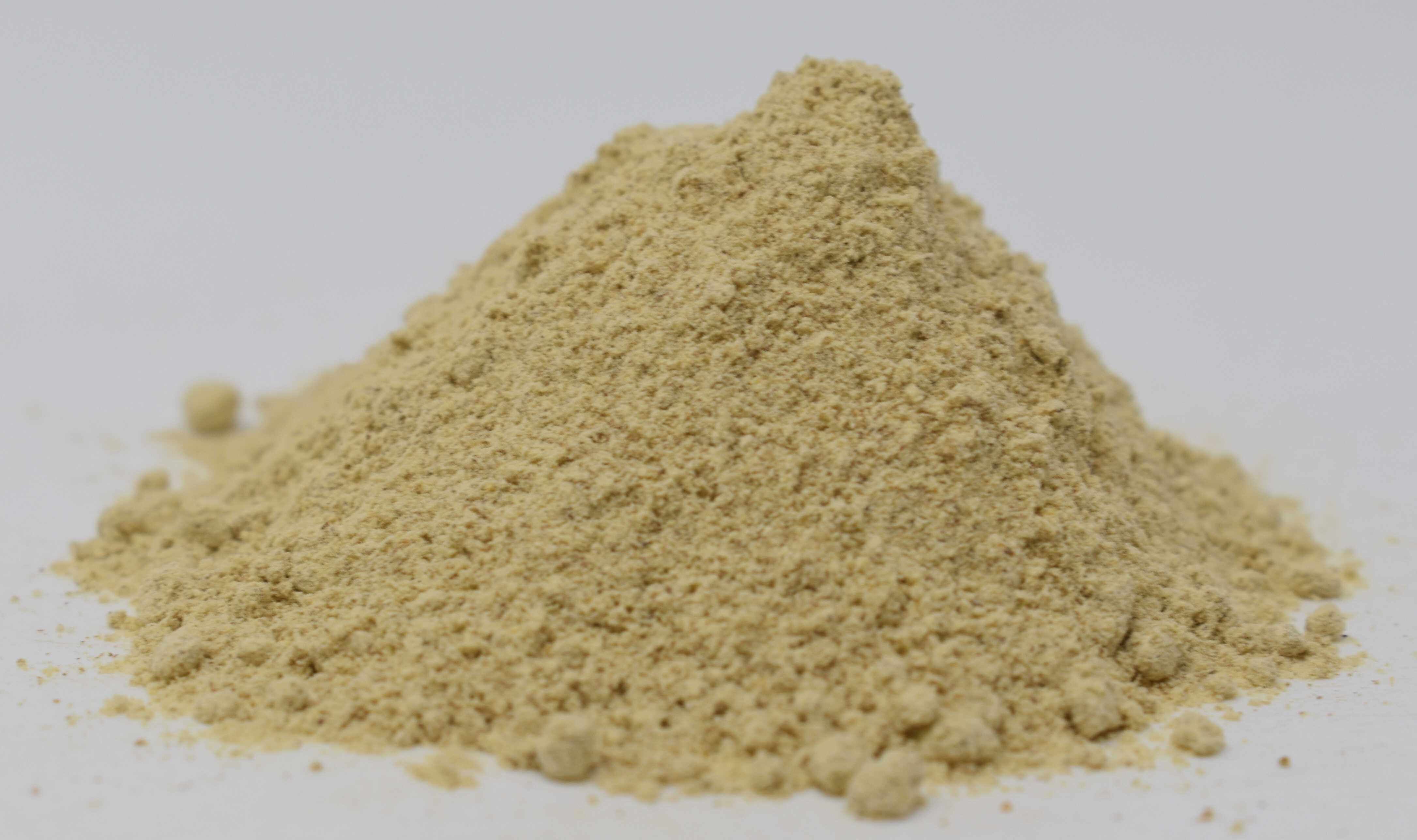 Fenugreek Seed - Side Photo