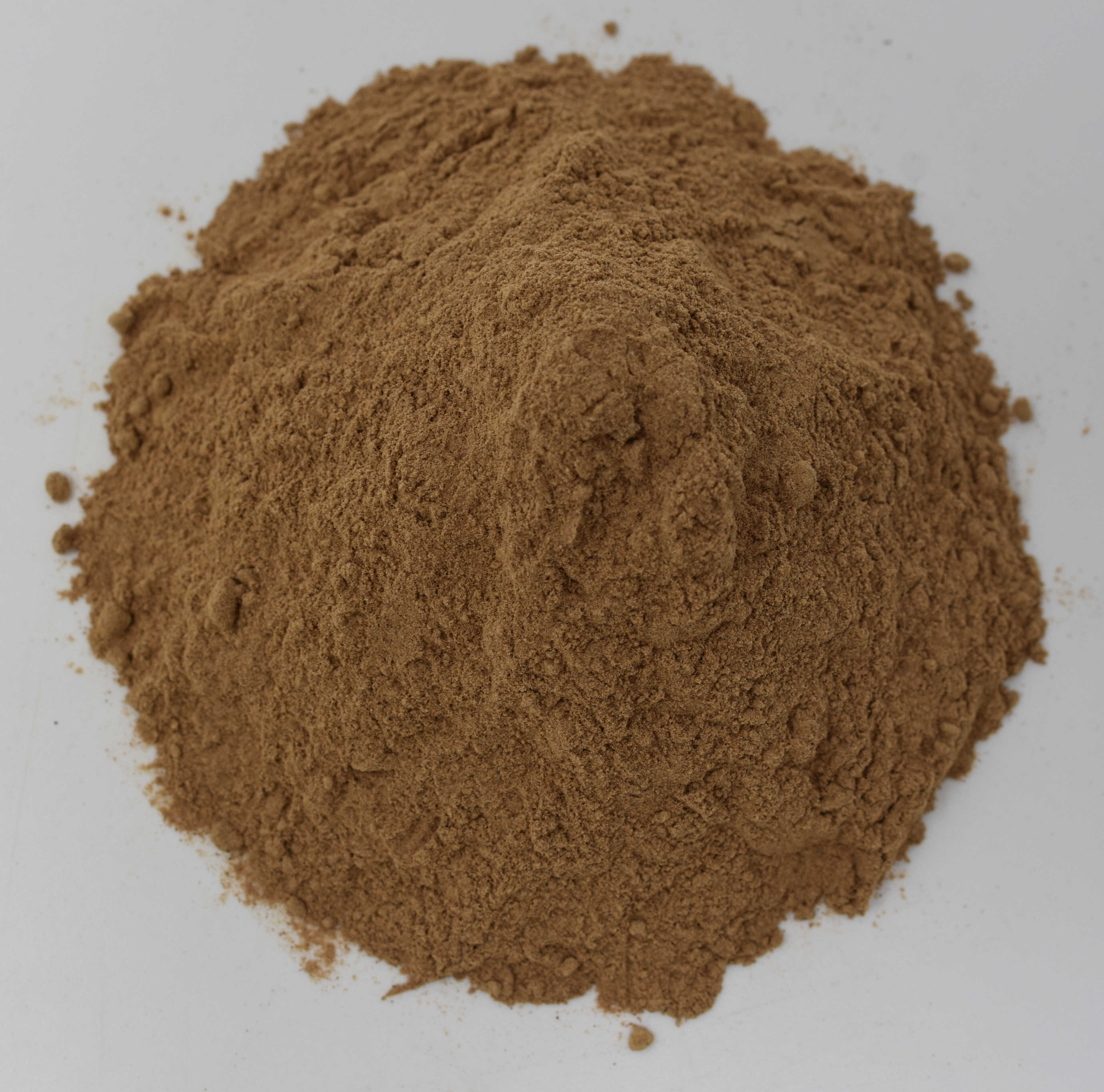 Maca Root - Top Photo