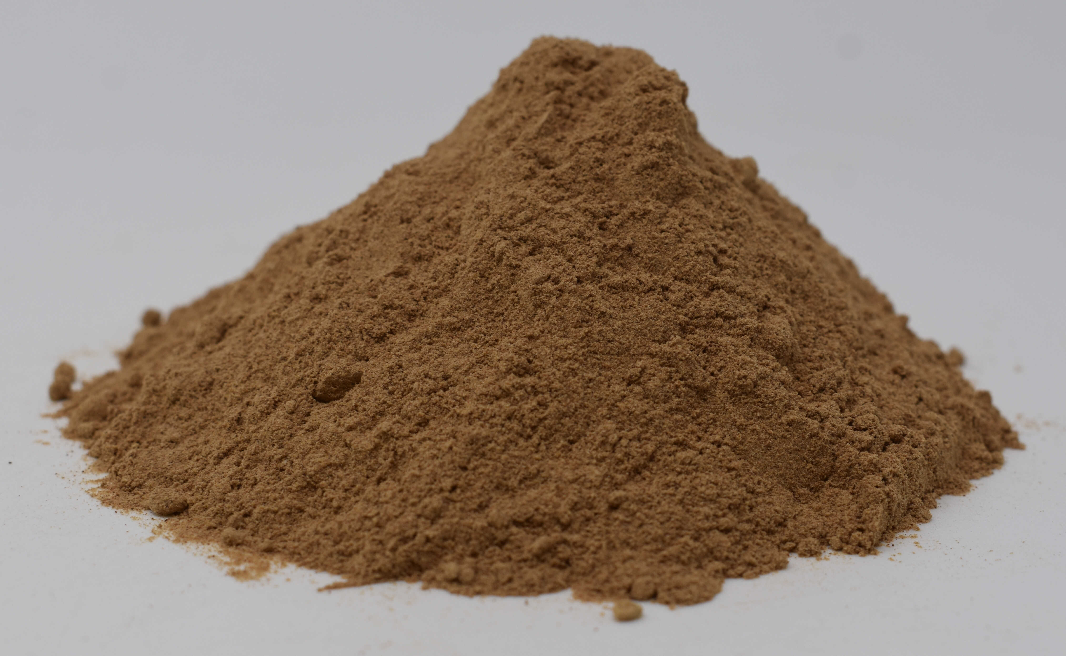 Maca Root - Side Photo