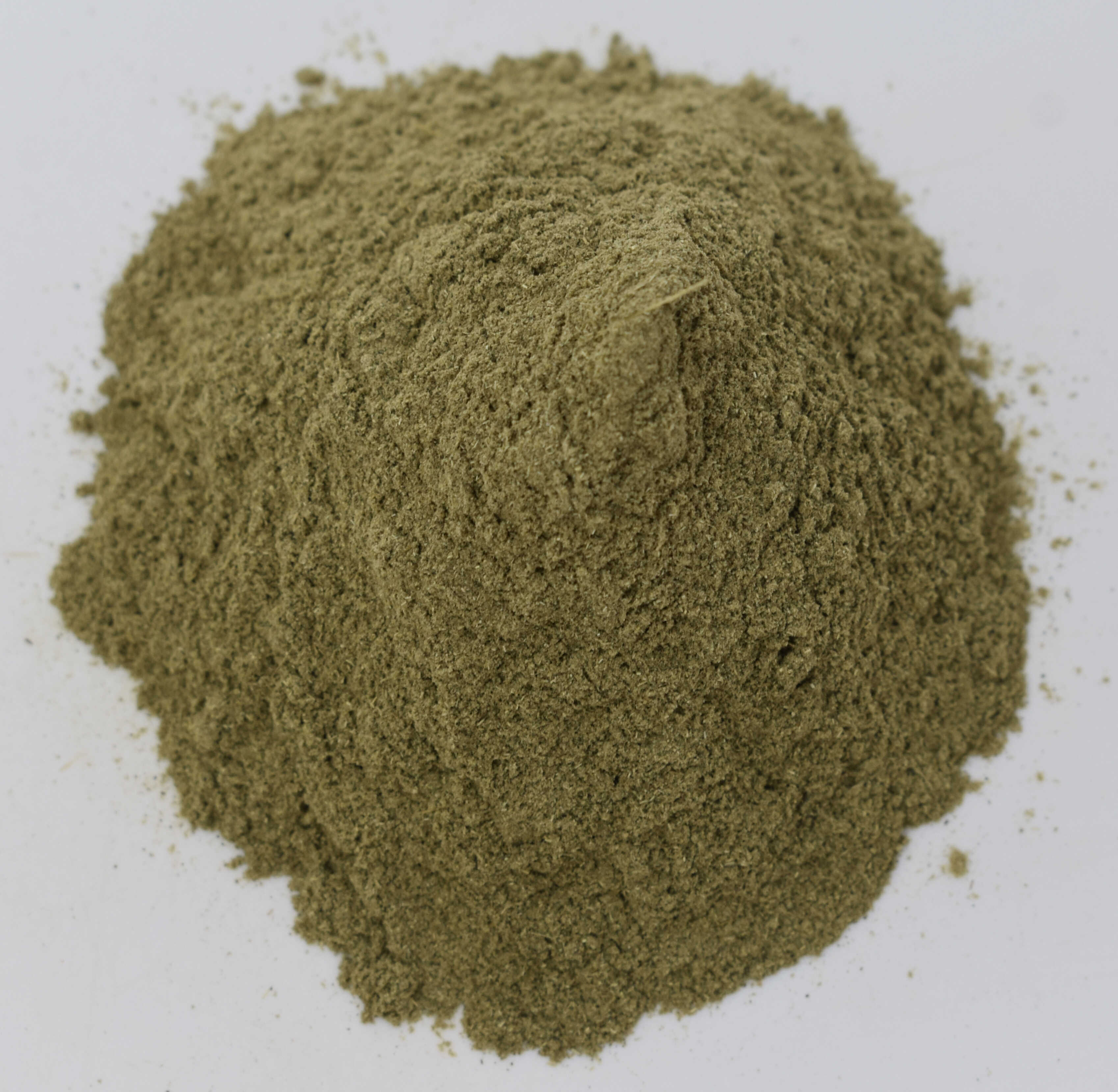 Green Stevia - Top Photo