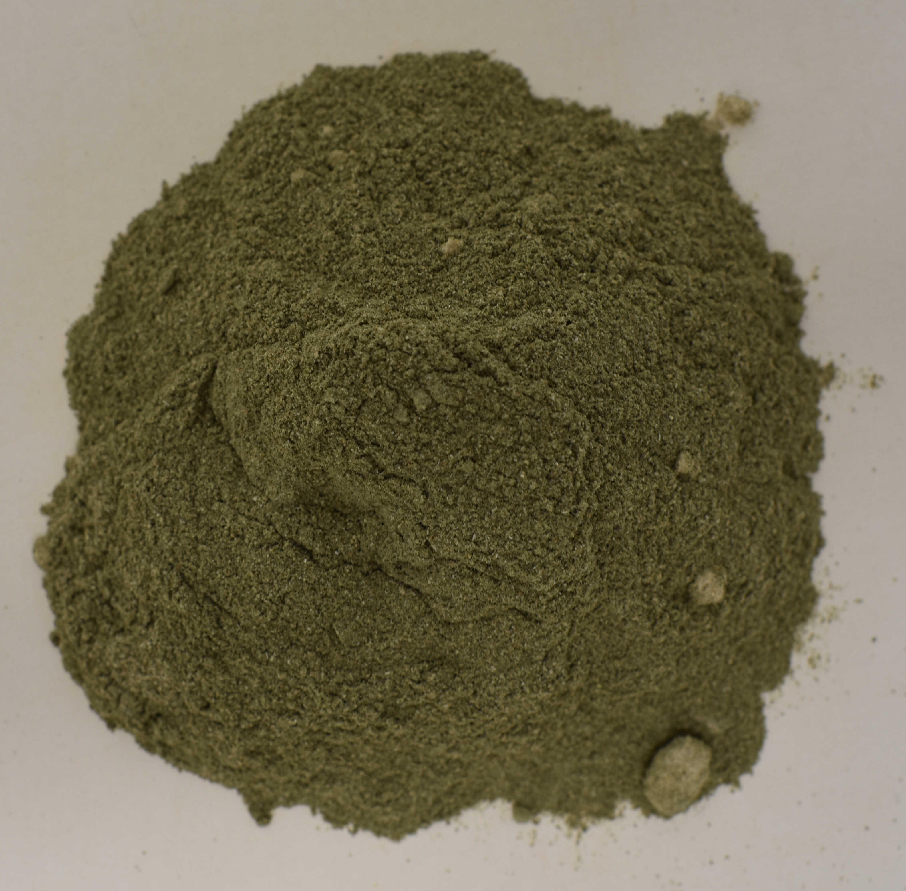 Celery Seed 4:1 Extract - Top Photo