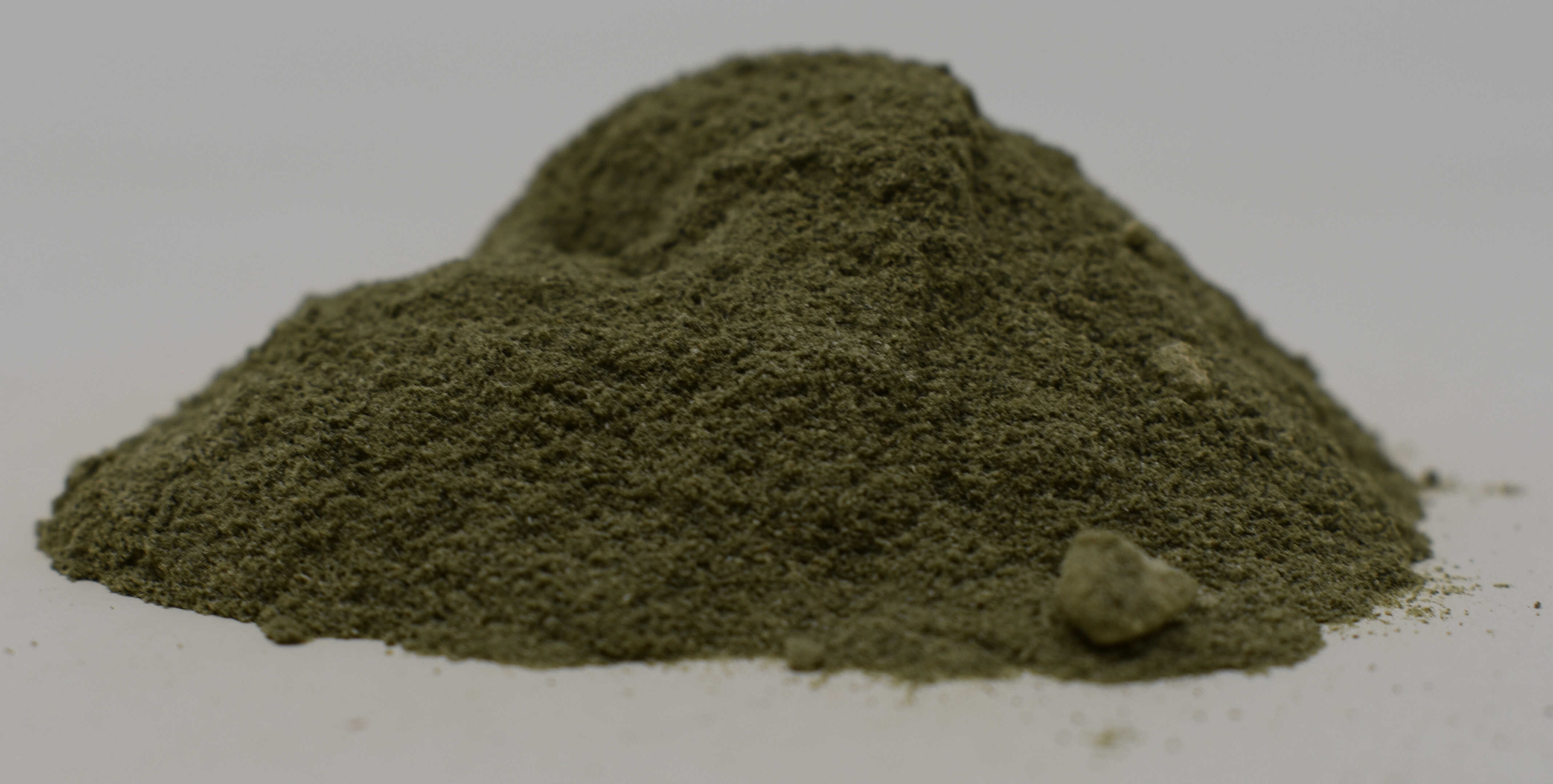 Celery Seed 4:1 Extract - Side Photo