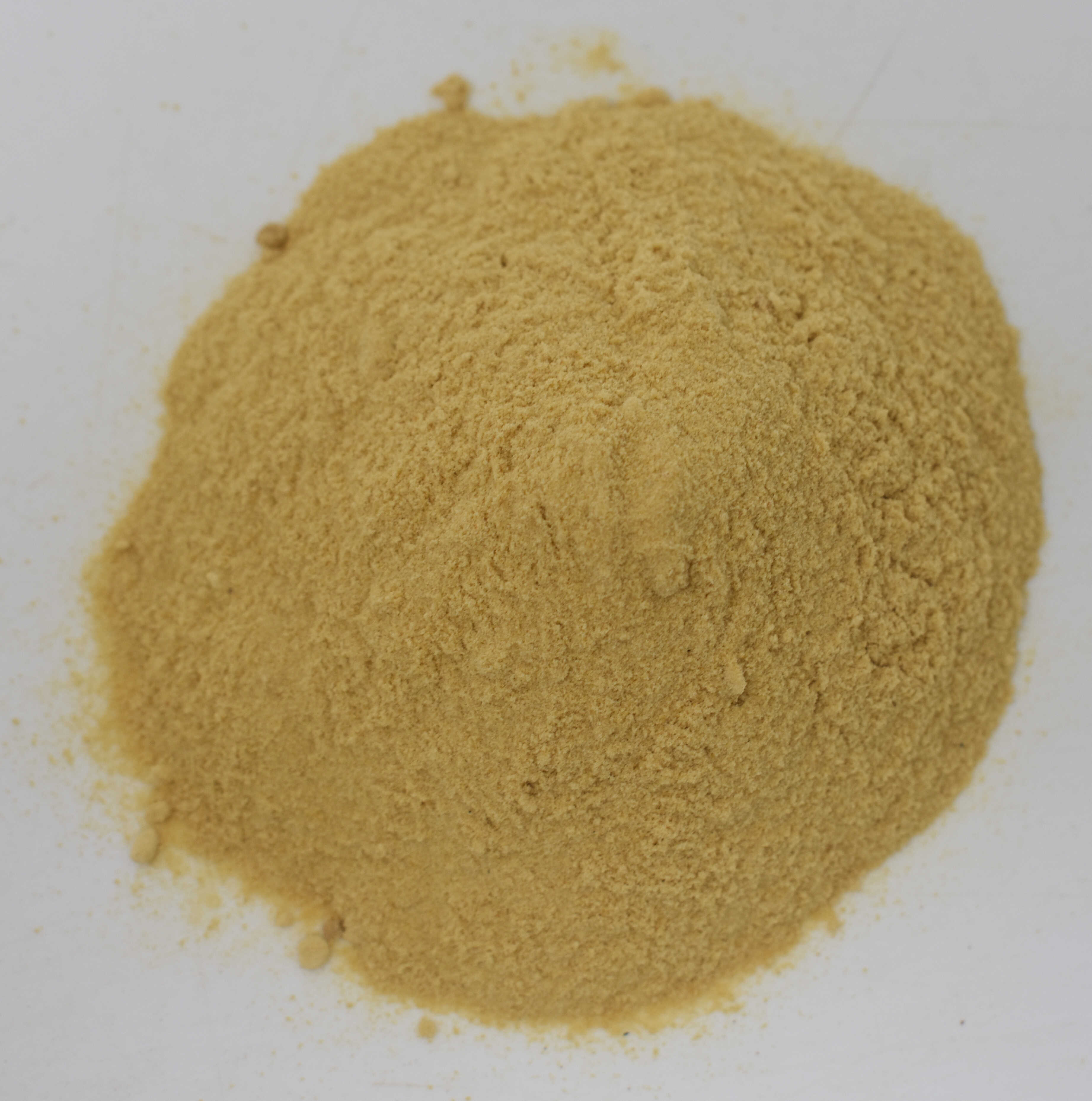 Brewer's Yeast - Top Photo