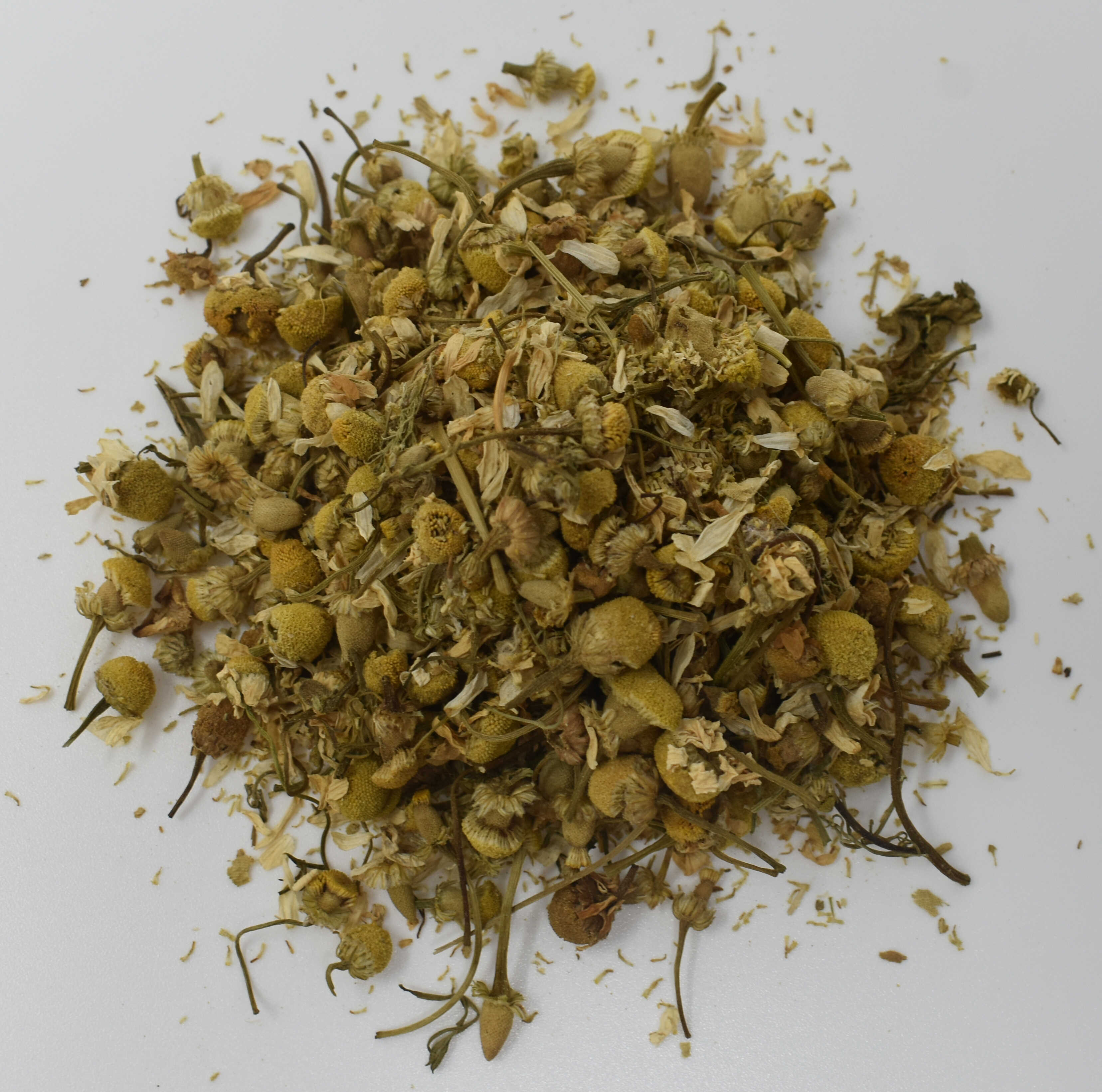 Egyptian Camomile - Top Photo