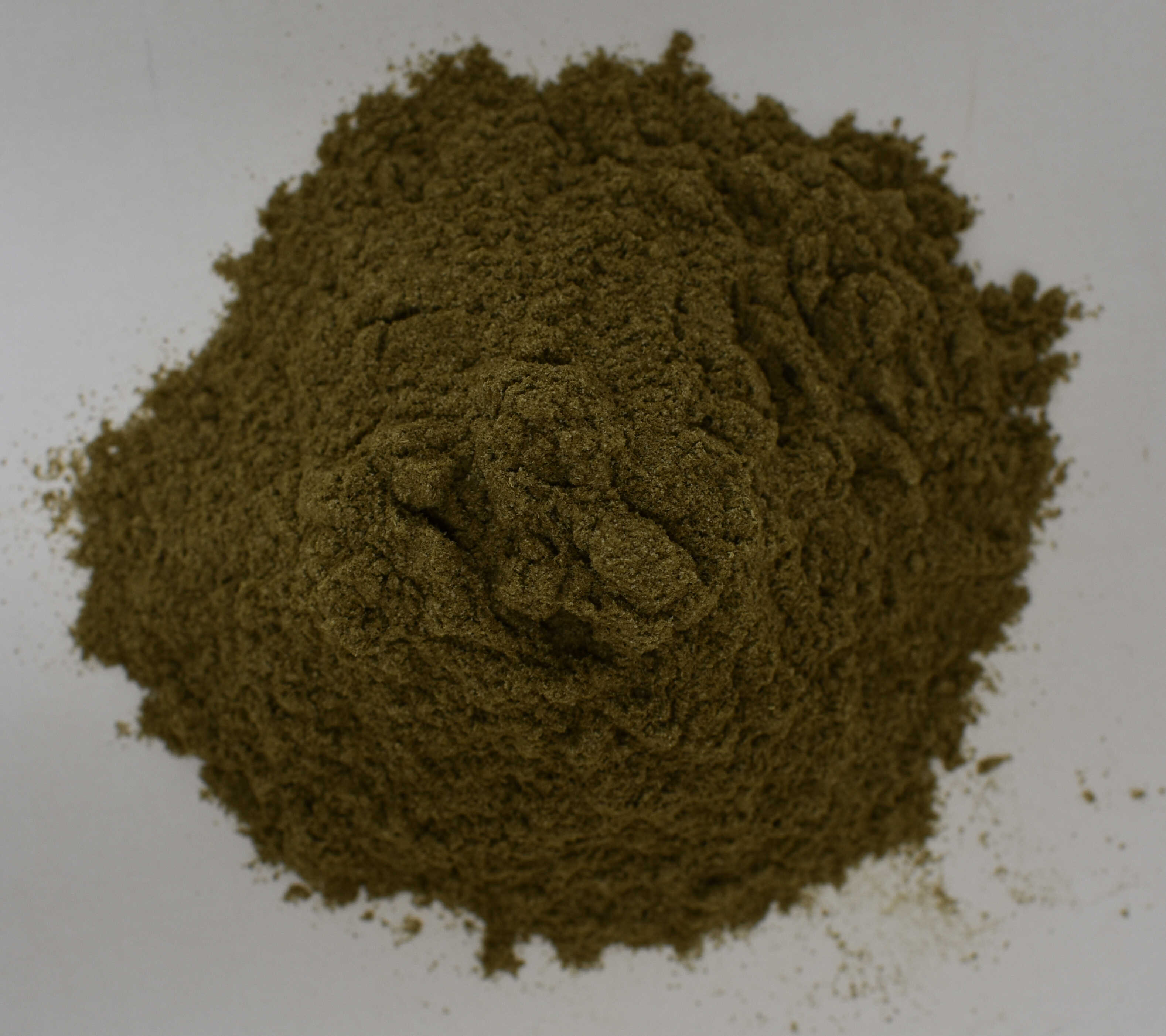 Oat Straw <BR>(Avena sativa) Extract 10:1 - Top Photo