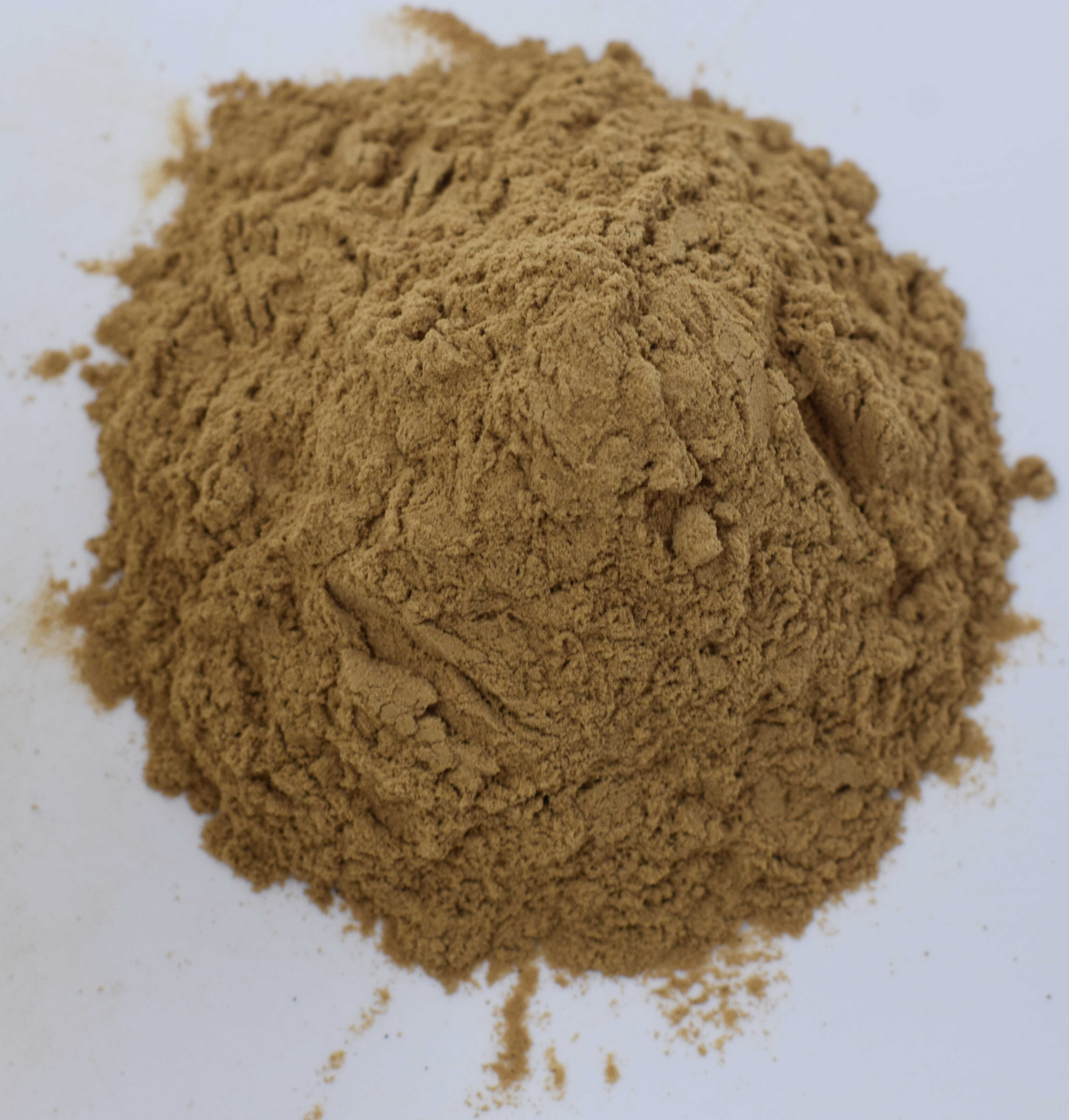 Black Cohosh Extract <BR>(2.5% Trit. Saponins) - Top Photo