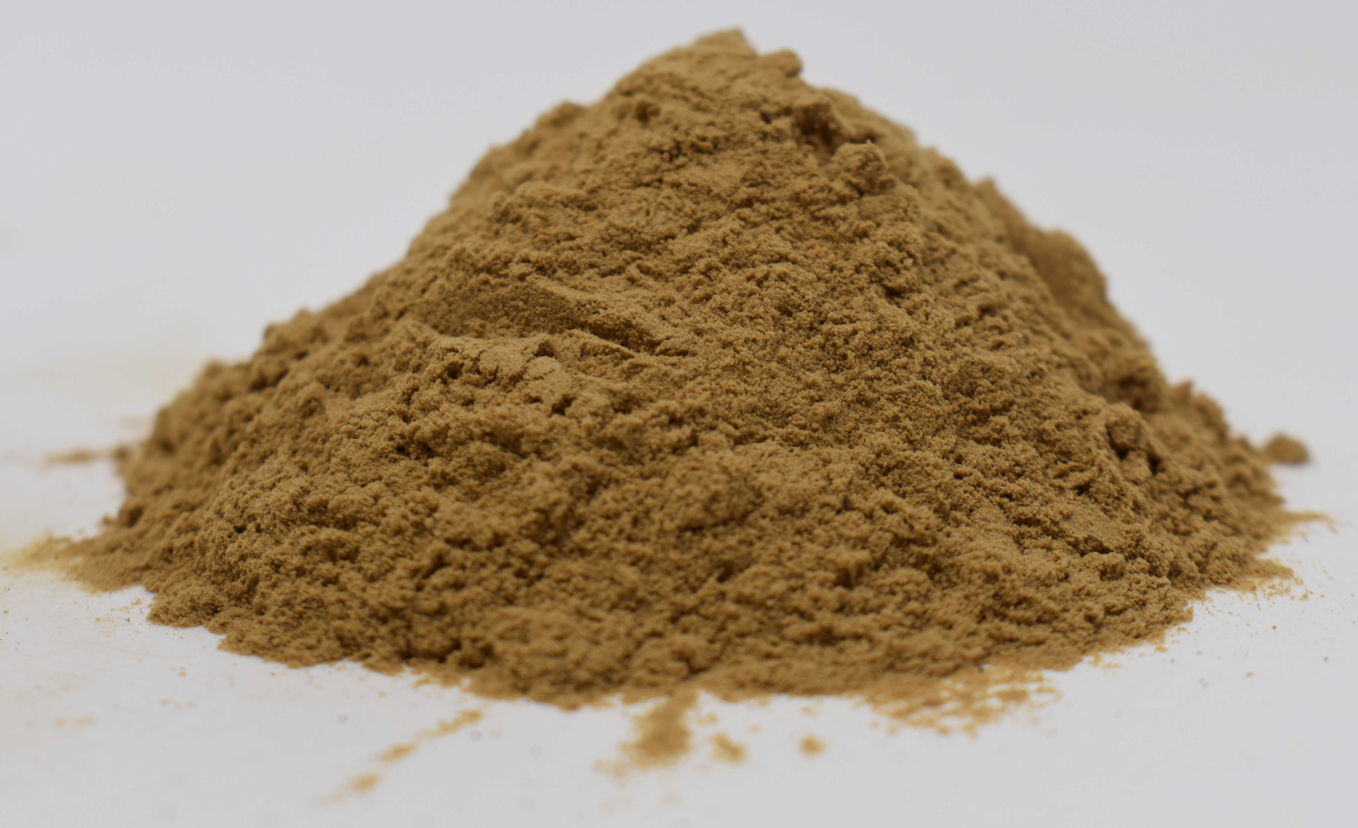 Black Cohosh Extract <BR>(2.5% Trit. Saponins) - Side Photo