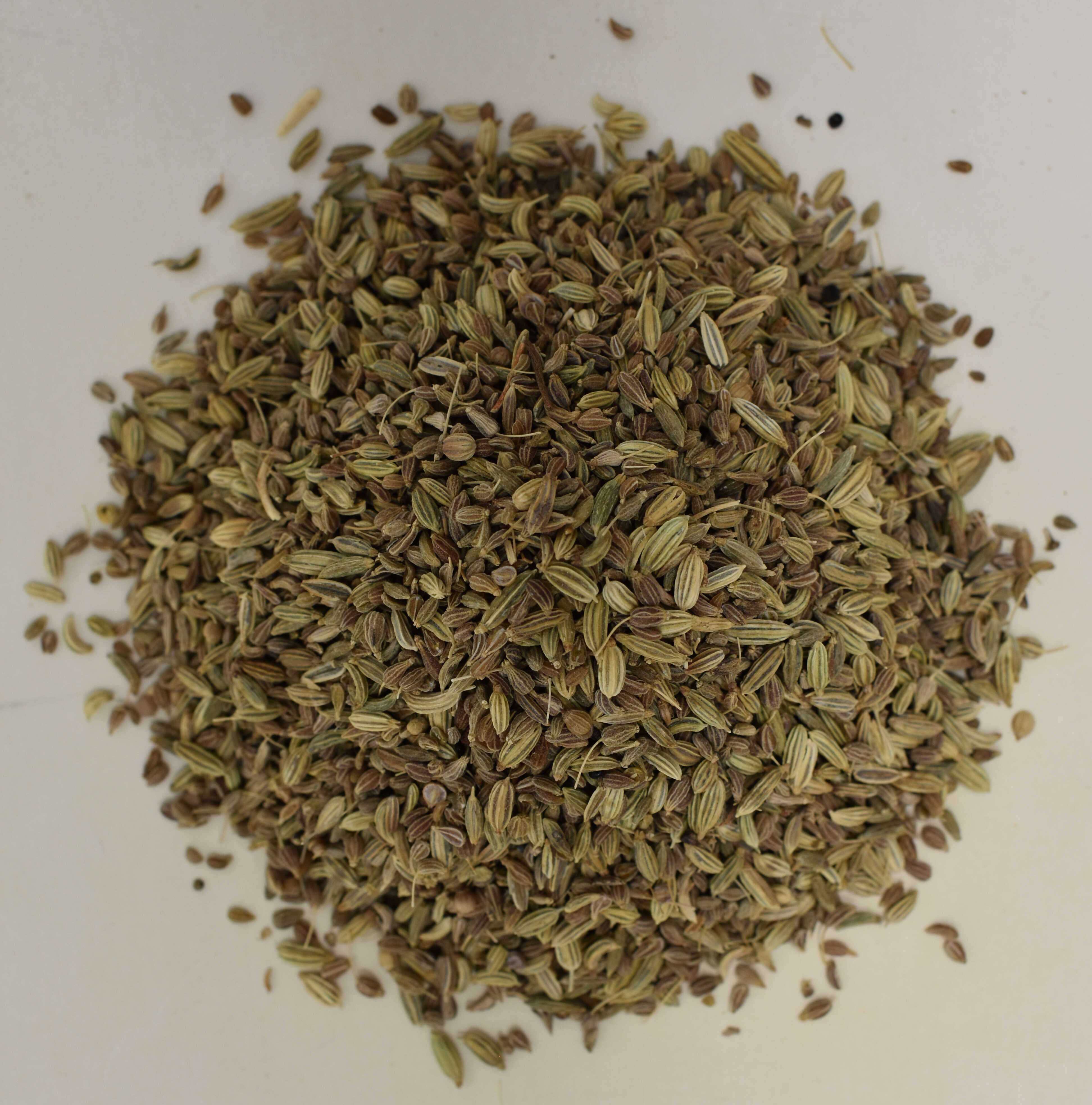 Anise Seed and Fennel - Top Photo