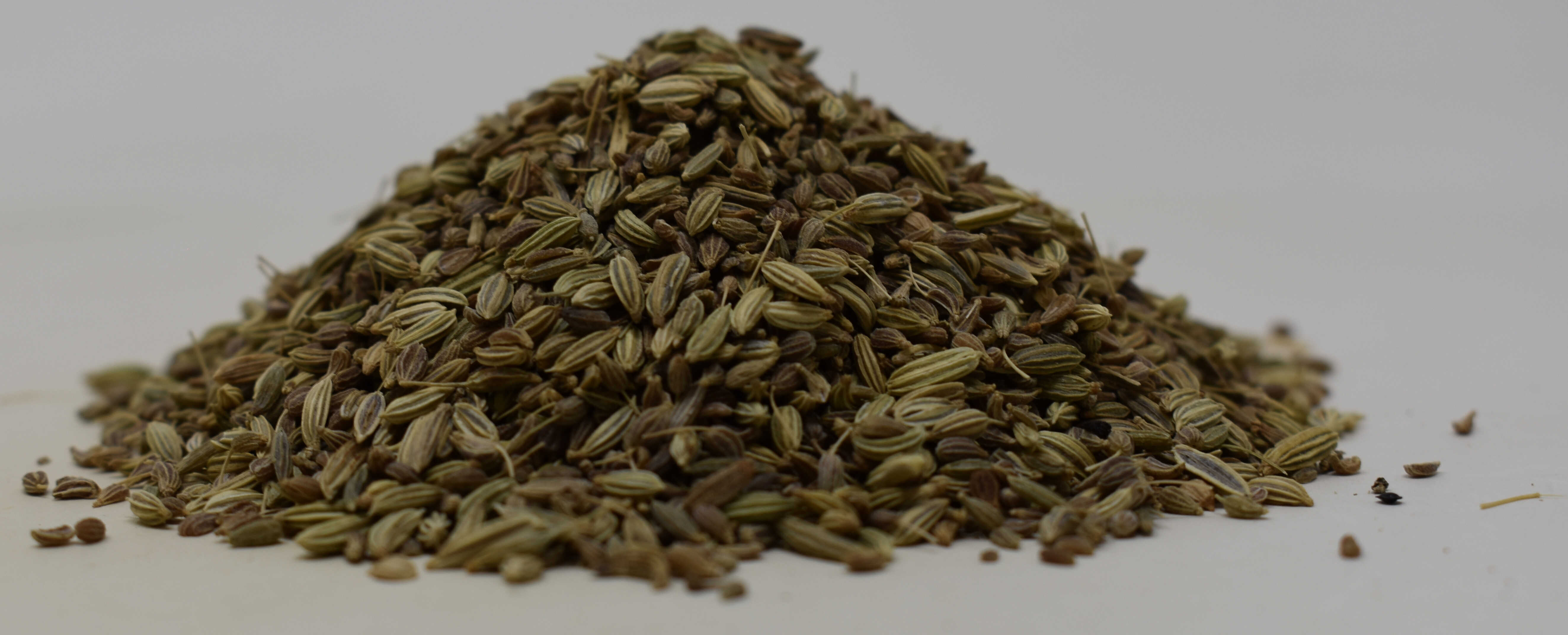 Anise Seed and Fennel - Side Photo