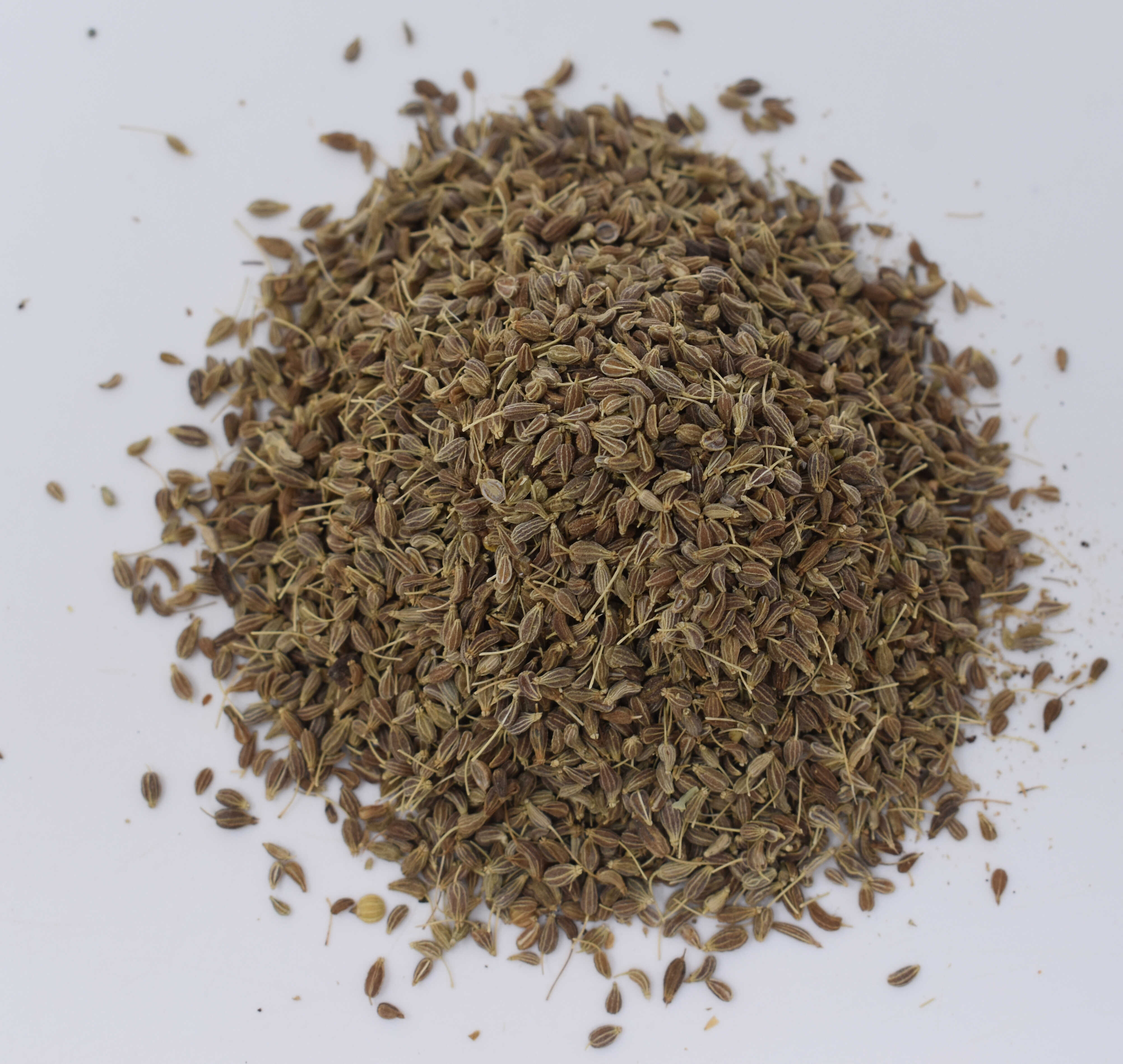 Anise Seed - Top Photo