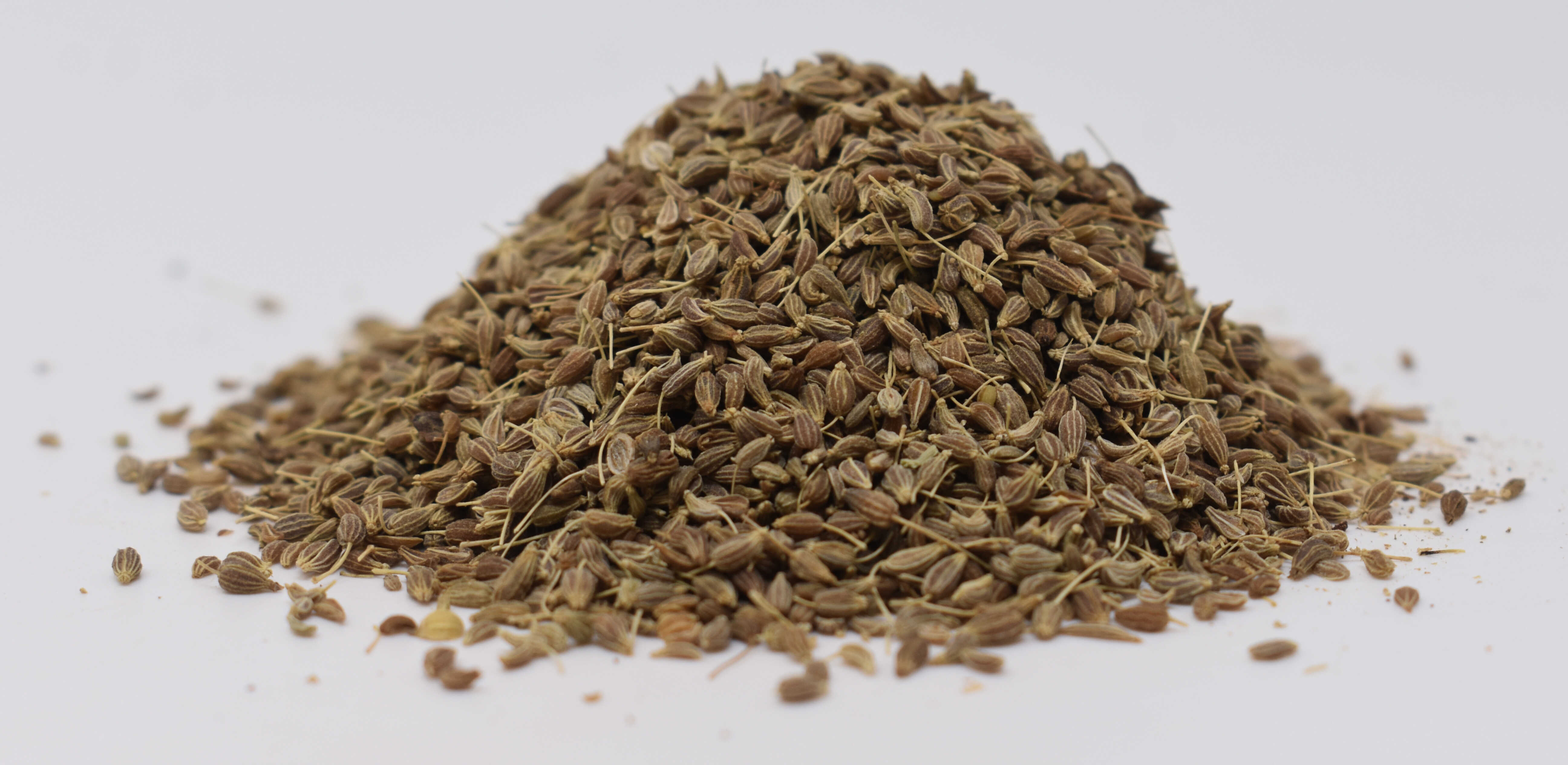 Anise Seed - Side Photo